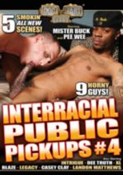 Interracial Public Pickups 4